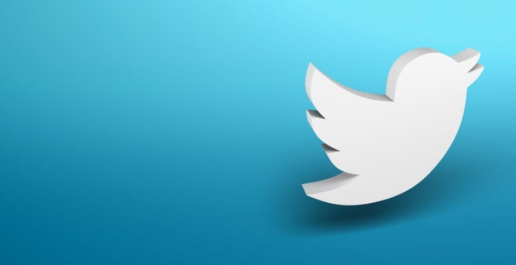 Twitter Logo White