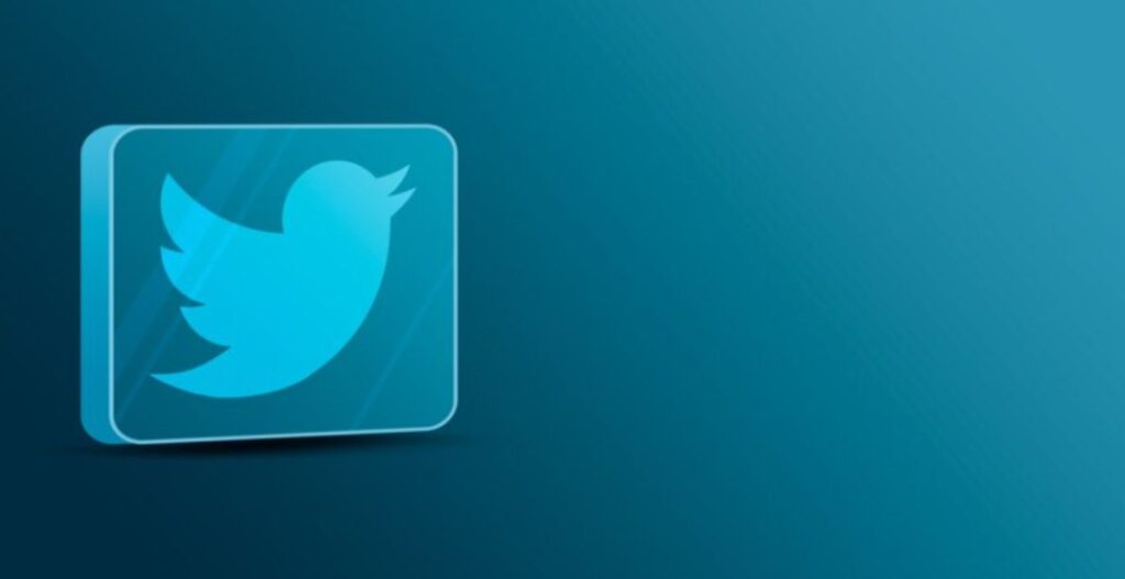 Twitter Logo White
